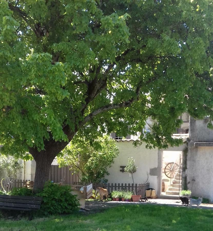 Le Patio Aux Hirondelles Villa Lagorce  Eksteriør bilde