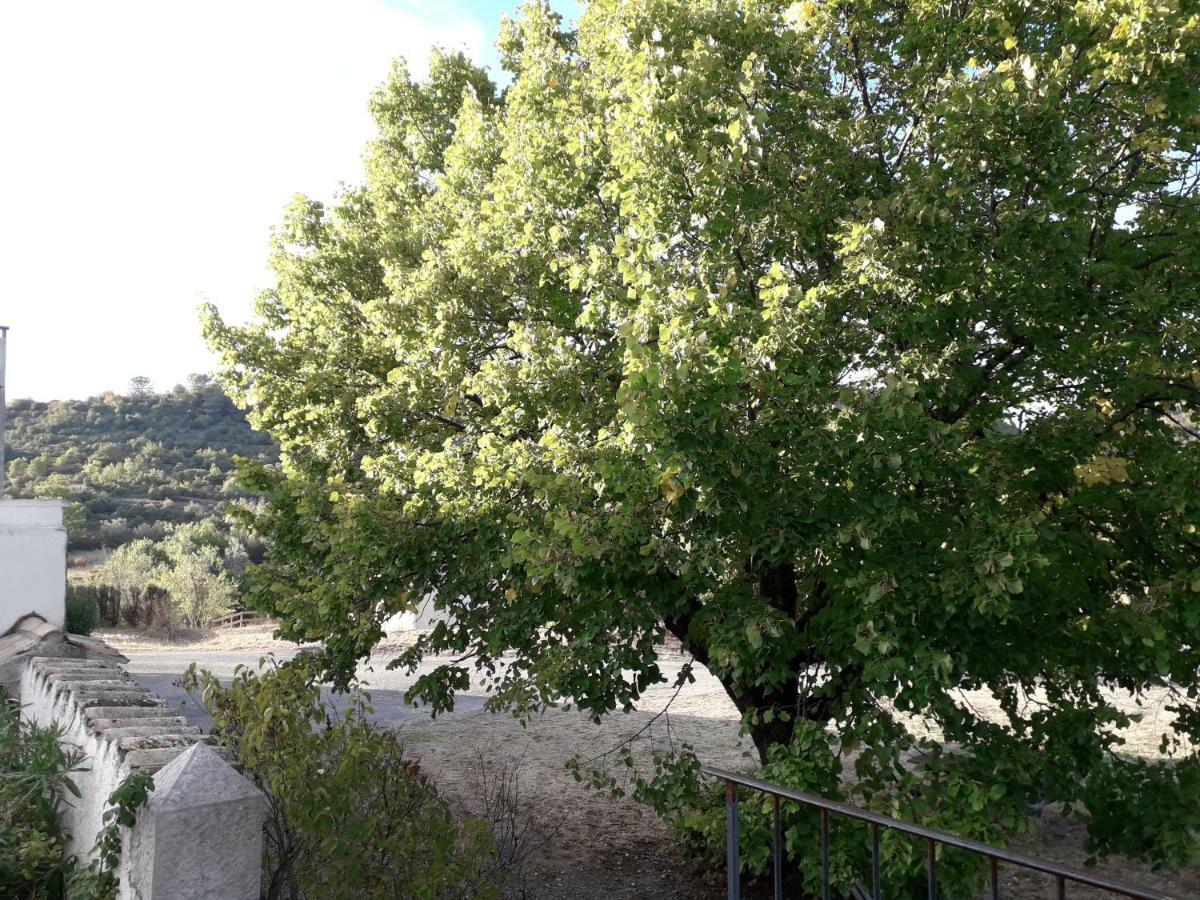 Le Patio Aux Hirondelles Villa Lagorce  Eksteriør bilde